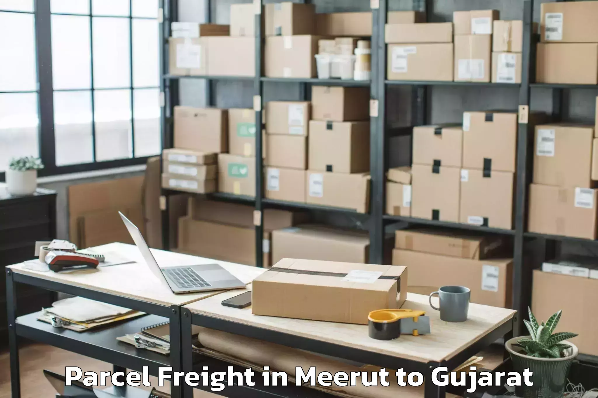 Quality Meerut to Sankheda Parcel Freight